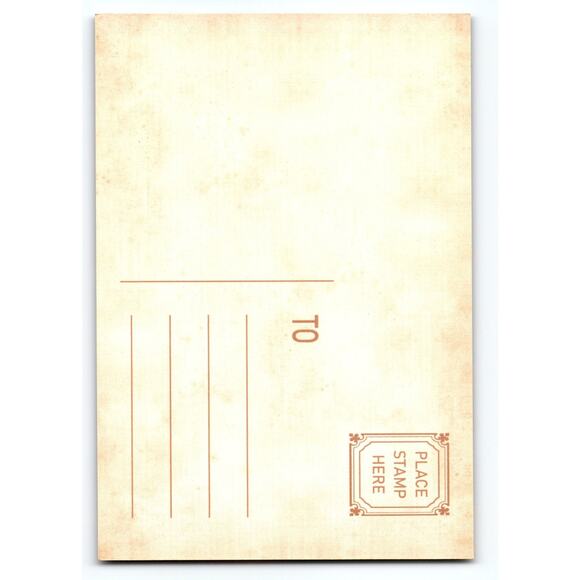 Vintage Halloween Black Cat in Autumn Forest Photochrome Postcard - Picture 2 of 2